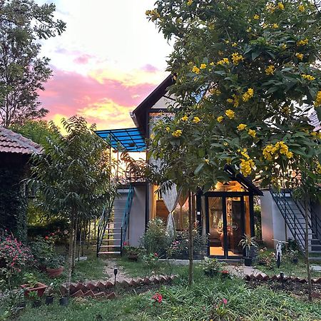 Chalets Resort Masinagudi Ooty Bagian luar foto