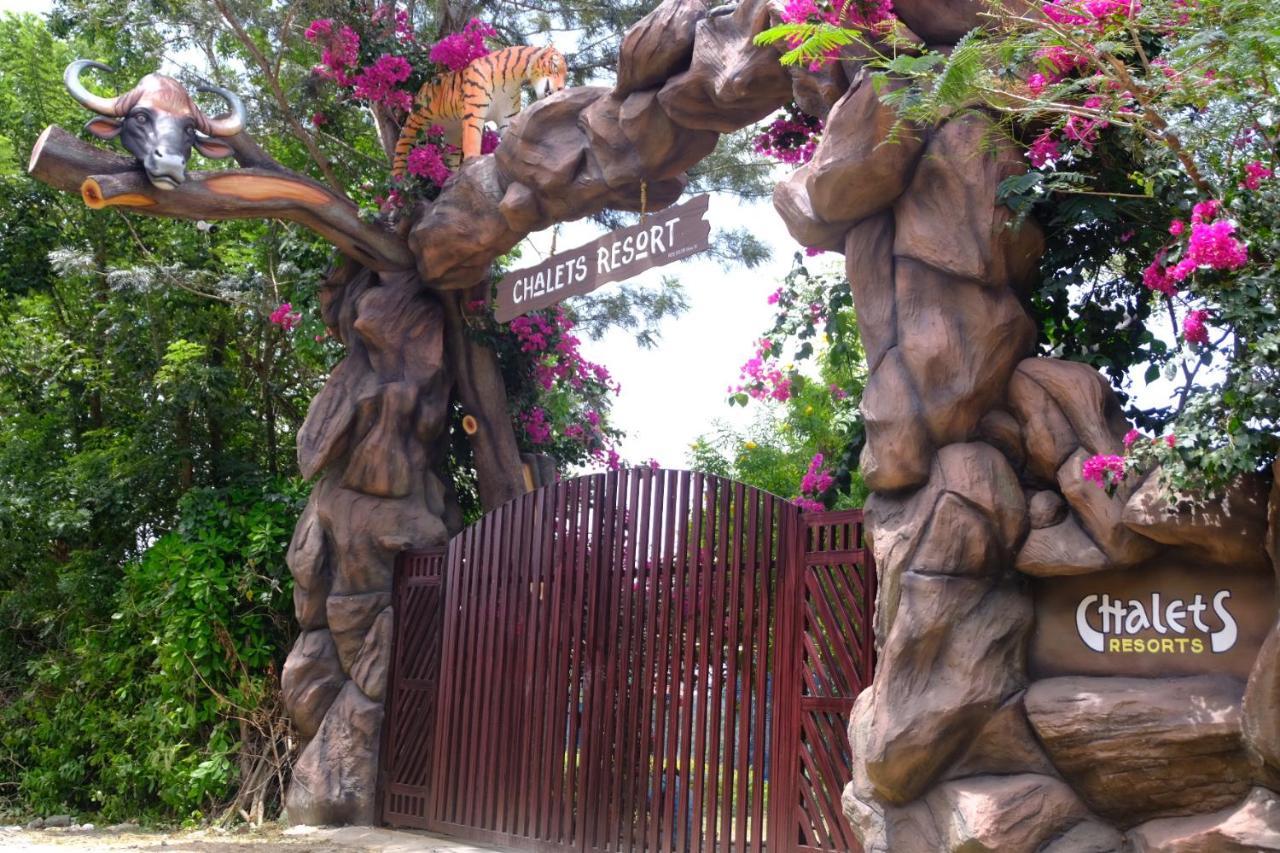 Chalets Resort Masinagudi Ooty Bagian luar foto