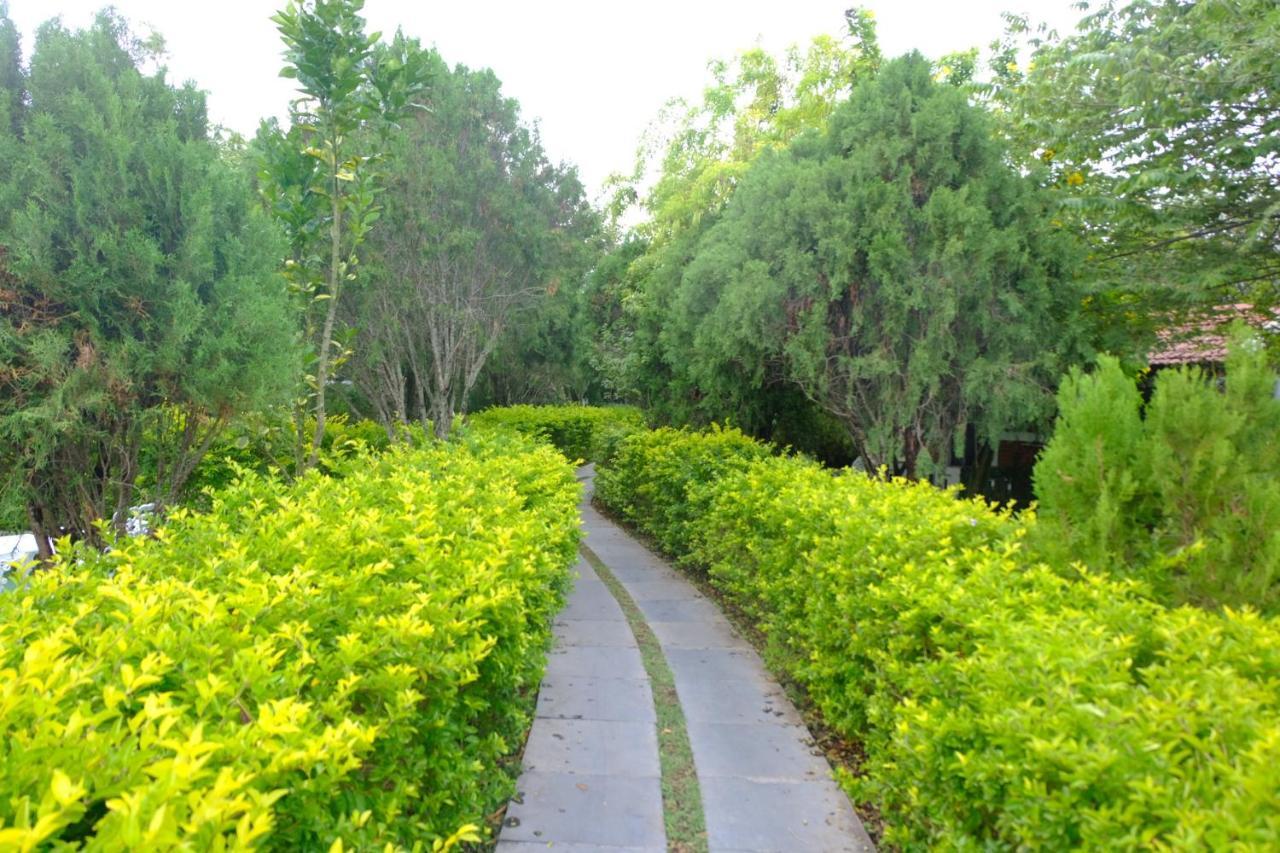 Chalets Resort Masinagudi Ooty Bagian luar foto