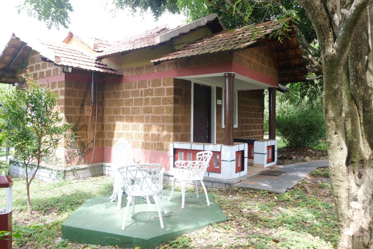 Chalets Resort Masinagudi Ooty Bagian luar foto
