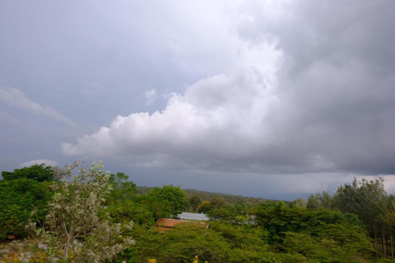 Chalets Resort Masinagudi Ooty Bagian luar foto