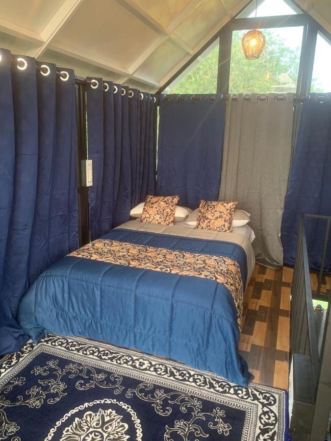 Chalets Resort Masinagudi Ooty Bagian luar foto