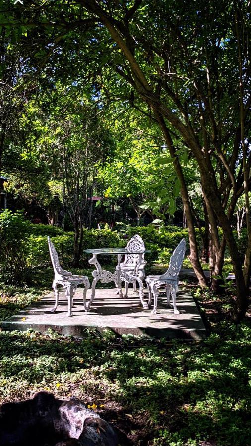 Chalets Resort Masinagudi Ooty Bagian luar foto