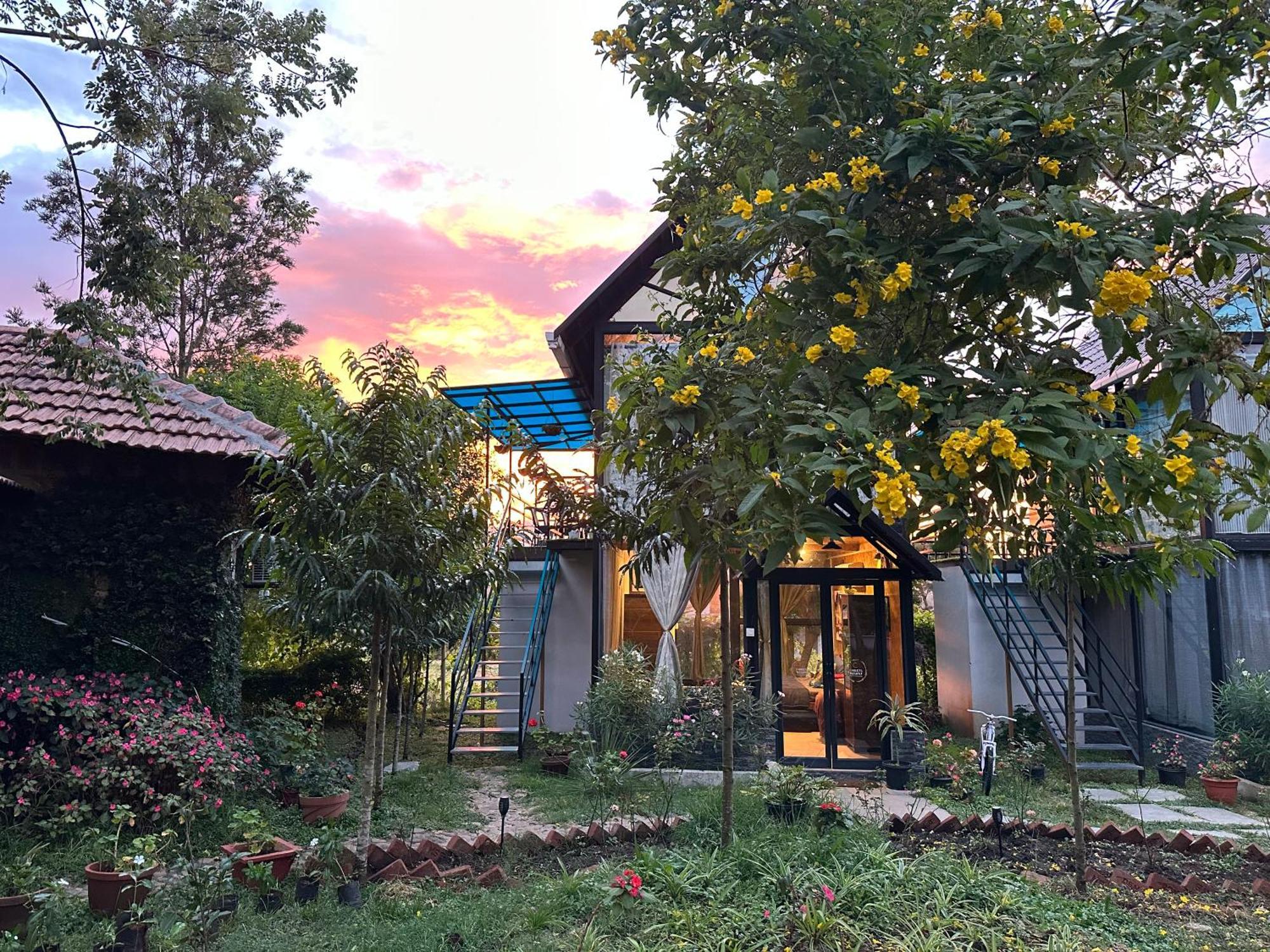 Chalets Resort Masinagudi Ooty Bagian luar foto