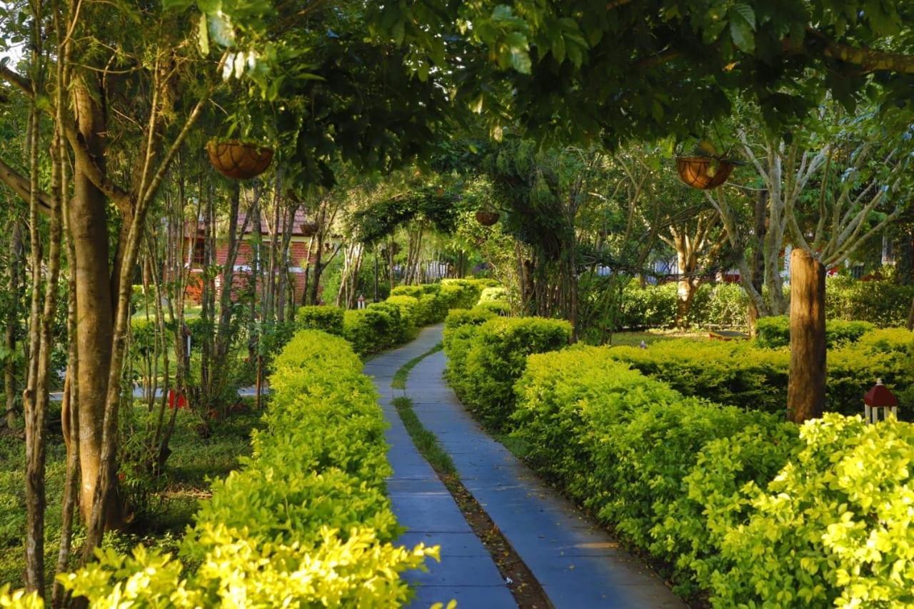 Chalets Resort Masinagudi Ooty Bagian luar foto