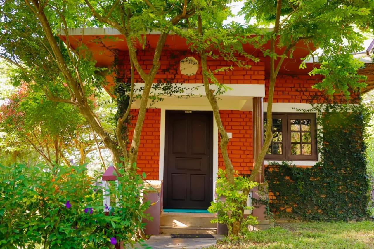 Chalets Resort Masinagudi Ooty Bagian luar foto