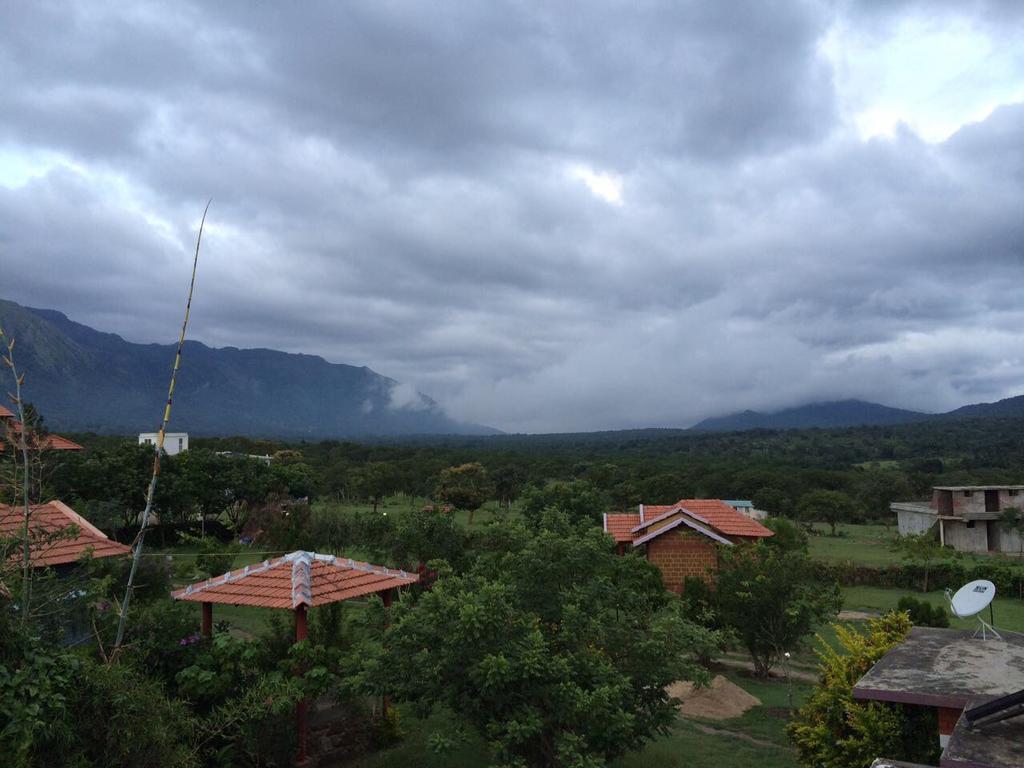 Chalets Resort Masinagudi Ooty Bagian luar foto