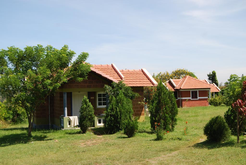 Chalets Resort Masinagudi Ooty Bagian luar foto