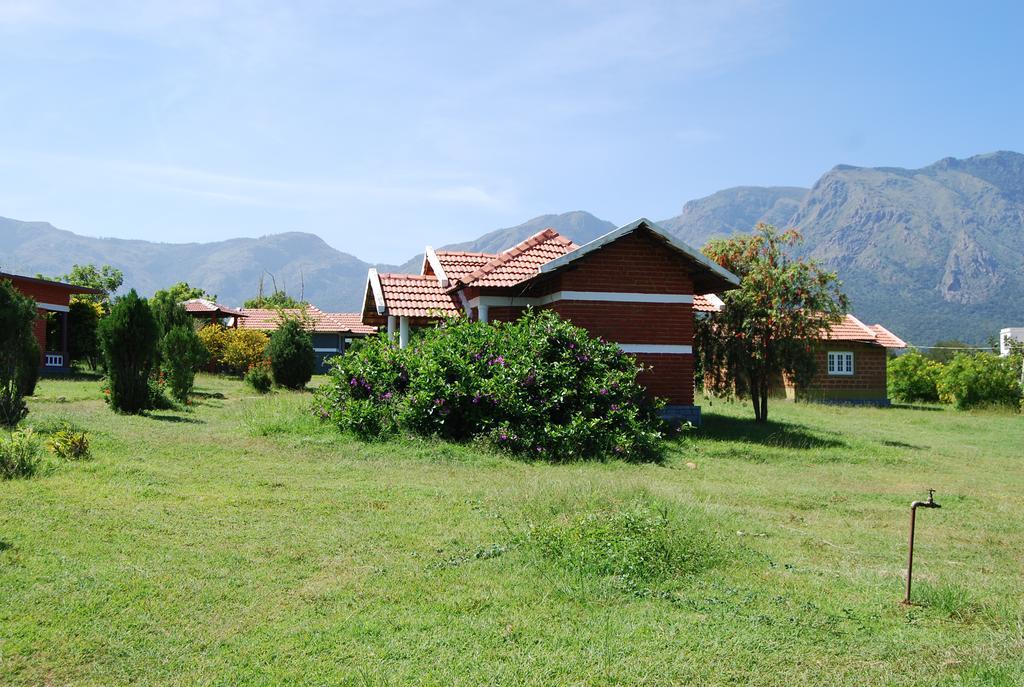 Chalets Resort Masinagudi Ooty Bagian luar foto