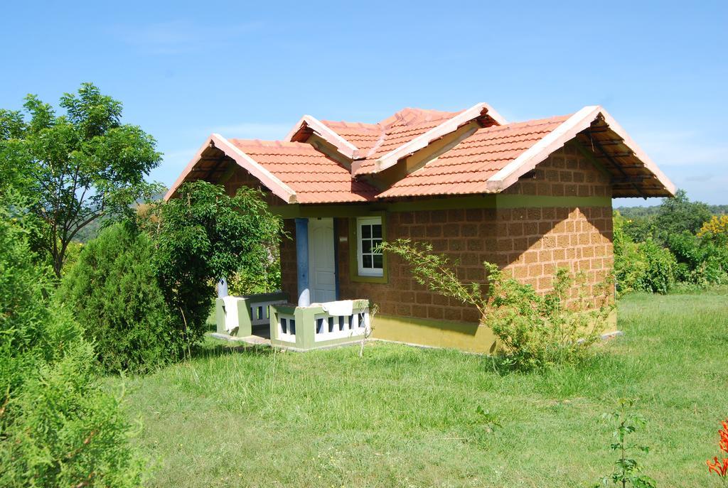 Chalets Resort Masinagudi Ooty Bagian luar foto