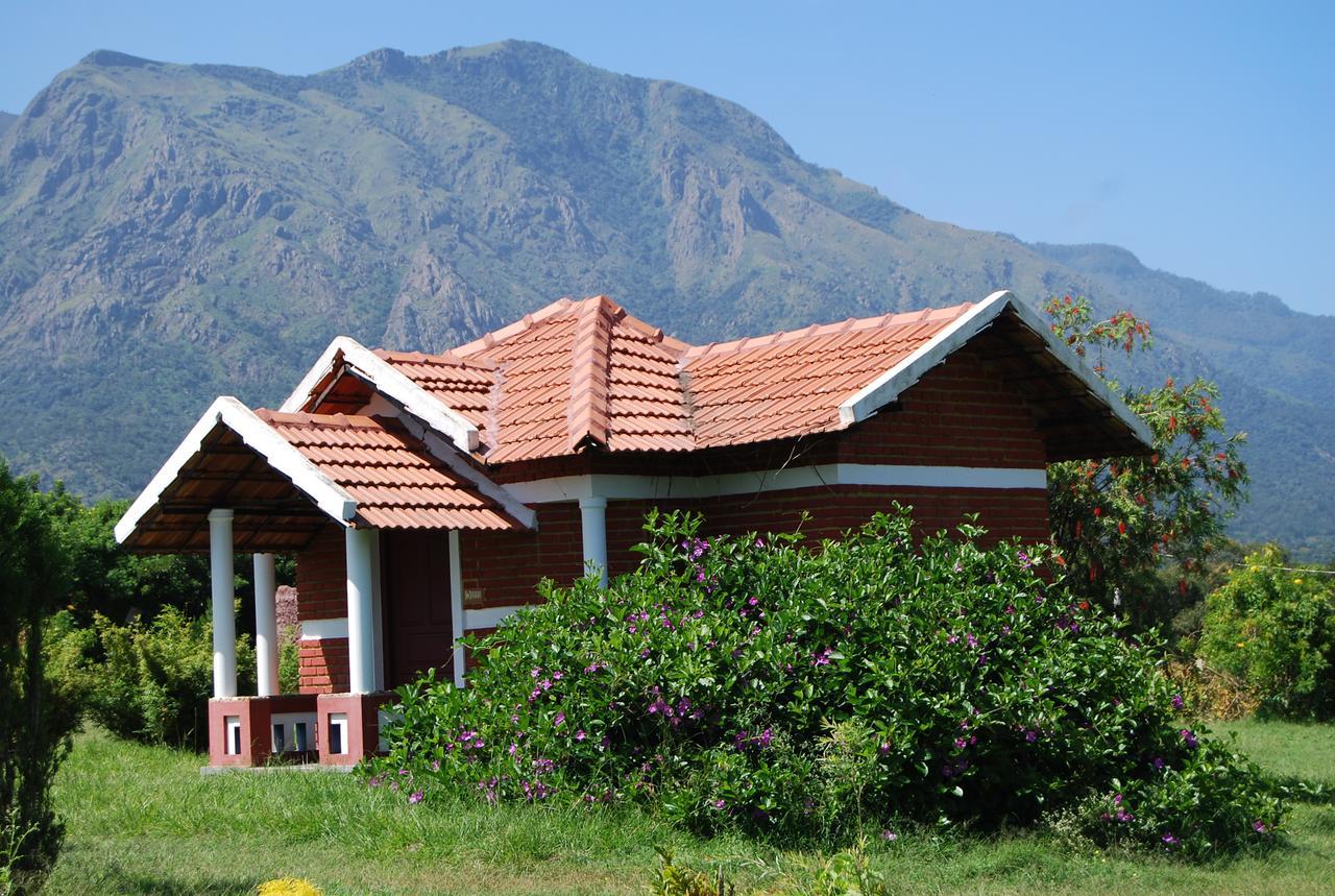 Chalets Resort Masinagudi Ooty Bagian luar foto